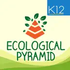 Ecological Pyramid iOS Icon