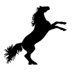Too difficult for you? iOS Icon
