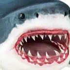 Ultimate Shark Simulator iOS Icon