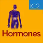 Hormones. iOS Icon