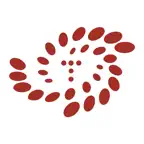 手机研修 Icon