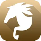 馬場Boss iOS Icon