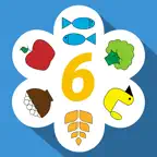 Диета 6 Лепестков: ПП рецепты iOS Icon