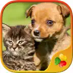 Cute Pets - Real Dogs and Cats Picture Puzzle Games for kids iOS Icon
