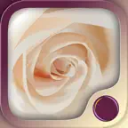 Love & Intimacy Hypnosis iOS Icon