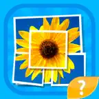 Mosaic - trivia image quiz and word puzzle game to guess words by small parts of images iOS Icon