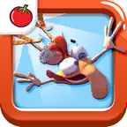 تشيكن تاون iOS Icon