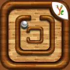 Balls in the Hole iOS Icon