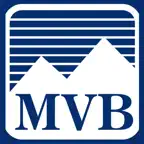Biz Capture Icon
