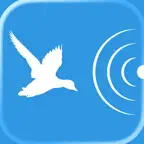Bird decoy icon