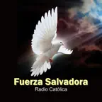 Fuerza Salvadora Icon