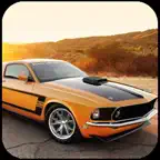 Real Car Simulator iOS Icon