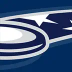 USA Ultimate Icon