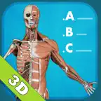 Anatomy Quiz - muscles and bones iOS Icon