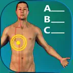 Acupuncture Quiz - Point Locations iOS Icon