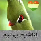 اناشيد يمنيه iOS Icon