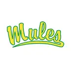 Leilehua High School Icon