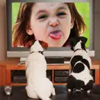iLaugh Camera : Best Funny Frames iOS Icon