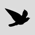 Blackbird Worldwide Corp. iOS Icon