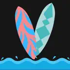 Surf Buddy Wave Height iOS Icon