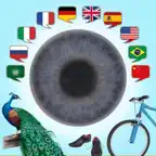 JOURIST Visual Dictionary icon