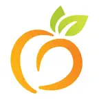 Peach State Health Plan iOS Icon
