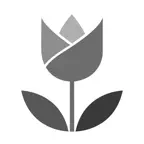 Live Focus iOS Icon