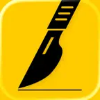 iCCAM icon