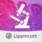 Histology: USMLE Q&A Review iOS Icon