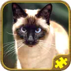 Cat Jigsaw Puzzles iOS Icon