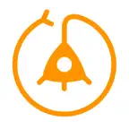 Neurons Icon