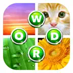 4 Pics: What's the Word? iOS Icon