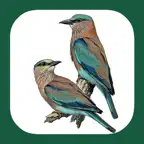 Birds of Western Palearctic iOS Icon