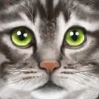 Ultimate Cat Simulator iOS Icon