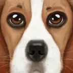 Ultimate Dog Simulator iOS Icon