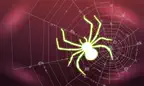 A Maze of Spiders & Droids iOS Icon
