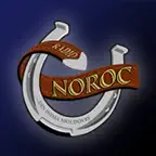 Radio Noroc Moldova iOS Icon