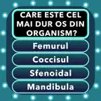 Quiz Cultura Generala România iOS Icon
