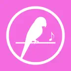 儿歌多多动画版-小布丁中英文经典音乐故事会 iOS Icon