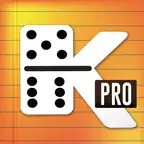 Kapicu Pro iOS Icon