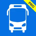 SG Bus Timing Pro iOS Icon