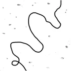 うねうね糸 iOS Icon