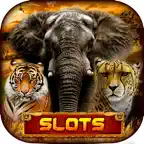 Safari Sundown Slots Casino iOS Icon