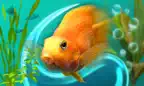 MyLake 3D Aquarium TV iOS Icon