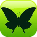 EVO BUG - Augmented Reality Icon