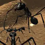 Ant Simulation Full iOS Icon
