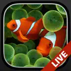 Aquarium Dynamic Wallpapers+ iOS Icon