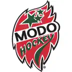 MoDo Hockey Icon