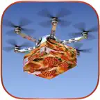 Drone Pizza Delivery Sim iOS Icon