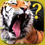 旭山動物園公式アプリ ＺＯＯクイズラリー iOS Icon